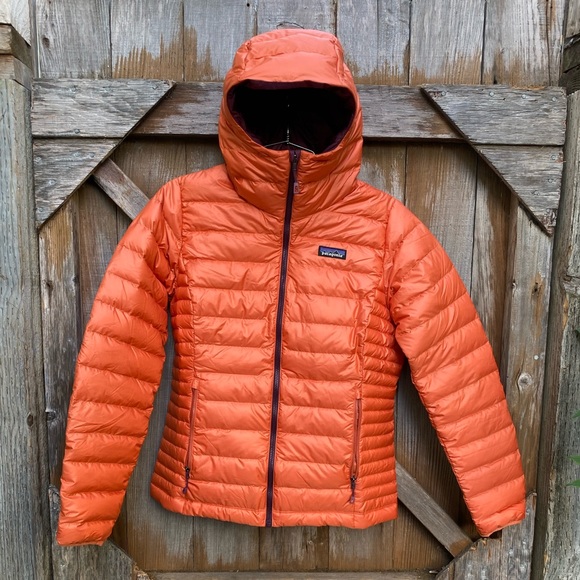 Nwt Patagonia Down Sweater Hoody Jacket 
